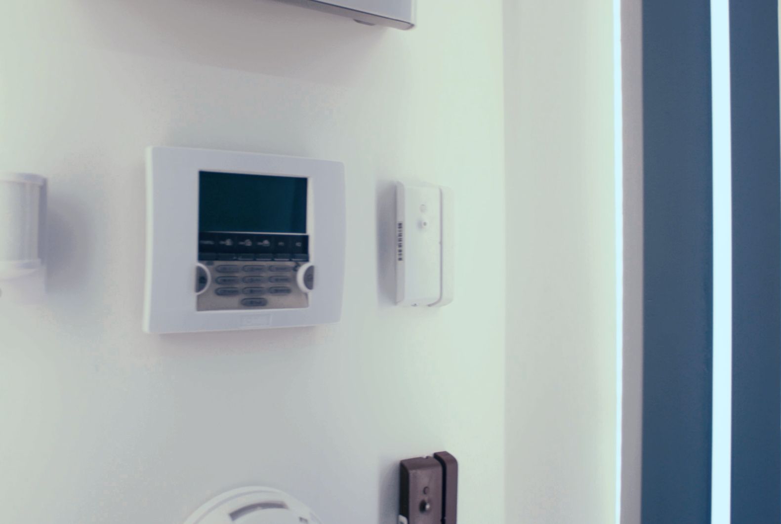 أنظمة صالة عرض IBS